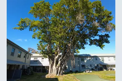 6930A Place De La Paix #2B, South Pasadena, FL 33707 - Photo 3