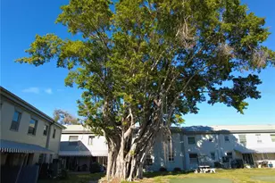 6930A Pl De La Paix, South Pasadena, FL 33707 - Photo 3