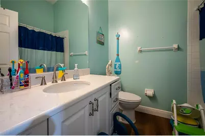 27350 New Smyrna Drive, Wesley Chapel, FL 33544 - Photo 17