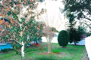 10328 Carlson Cir, Clermont, FL 34711 - Photo 47