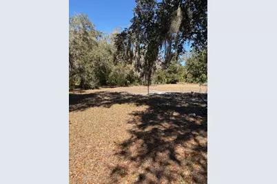 19128 Dorman Road, Lithia, FL 33547 - Photo 3