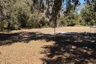 19128 Dorman Rd, Lithia, FL 33547 - Photo 3