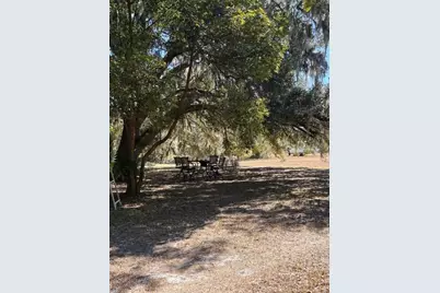 19128 Dorman Road, Lithia, FL 33547 - Photo 5