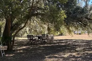 19128 Dorman Rd, Lithia, FL 33547 - Photo 5