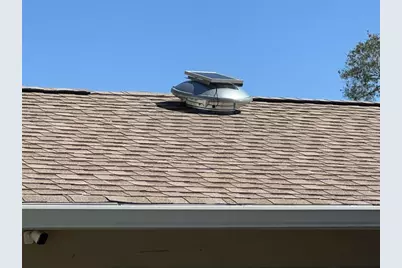 2914 Cypress Green Drive, Palm Harbor, FL 34684 - Photo 41