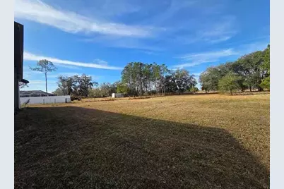 8521 Ehren Cutoff, Land O Lakes, FL 34639 - Photo 9