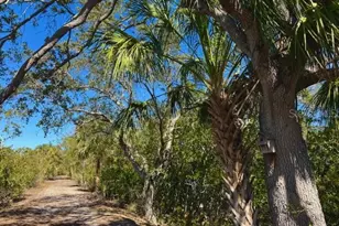 6251 Shoreline Dr, Saint Petersburg, FL 33708 - Photo 5