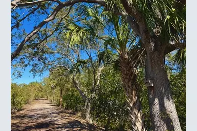 6251 Shoreline Drive #2205, Seminole, FL 33708 - Photo 9