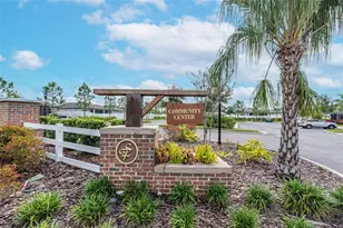 13525 Wild Ginger St, Riverview, FL 33579 - Photo 47