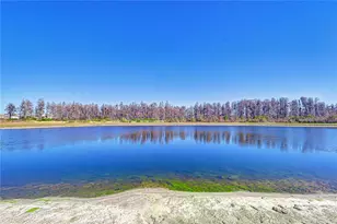 10422 Gliding Eagle Wy, Land O Lakes, FL 34638 - Photo 49