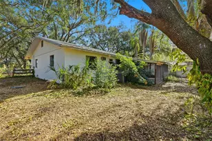 11316 Hutchens Ave, Odessa, FL 33556 - Photo 53