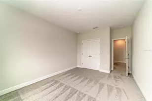 10858 Spring Sapling Cir, Parrish, FL 34219 - Photo 43