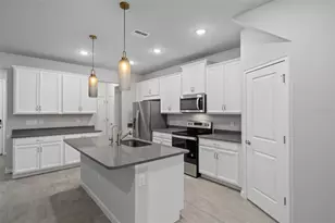 8509 Primrose Willow Pl, Odessa, FL 33556 - Photo 5