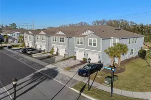 8509 Primrose Willow Pl, Odessa, FL 33556 - Photo 3