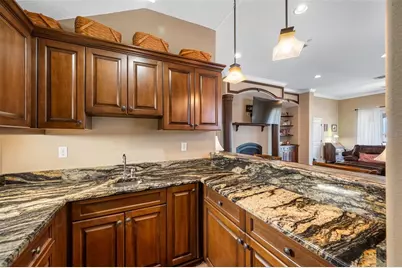 1425 Hillside Landing Drive, Tarpon Springs, FL 34688 - Photo 45