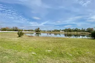 6246 Shiner St, Land O Lakes, FL 34638 - Photo 35