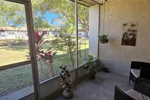 3121 Mission Grove Dr, Palm Harbor, FL 34684 - Photo 11