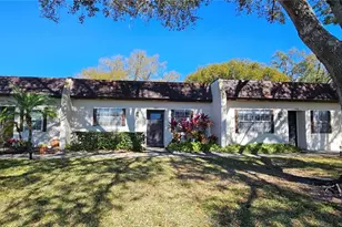 3121 Mission Grove Dr, Palm Harbor, FL 34684 - Photo 13