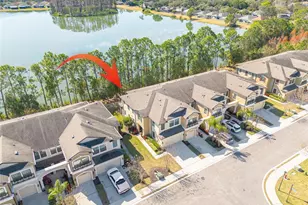 11418 Crowned Sparrow Ln, Tampa, FL 33626 - Photo 35