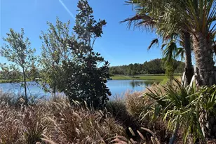 17254 Ashe Juniper Ln, Land O Lakes, FL 34638 - Photo 61