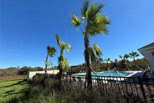 17254 Ashe Juniper Ln, Land O Lakes, FL 34638 - Photo 57