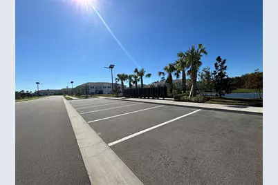 17254 Ashe Juniper Lane, Land O Lakes, FL 34638 - Photo 59