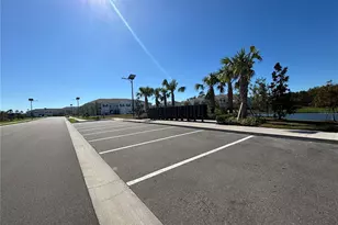 17254 Ashe Juniper Ln, Land O Lakes, FL 34638 - Photo 59