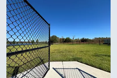 17254 Ashe Juniper Lane, Land O Lakes, FL 34638 - Photo 49