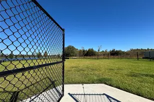 17254 Ashe Juniper Ln, Land O Lakes, FL 34638 - Photo 49