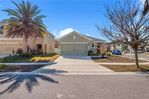 3503 Diamond Leaf Ct, Valrico, FL 33594 - Photo 3