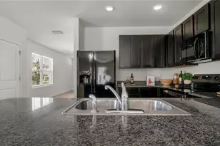 3503 Diamond Leaf Ct, Valrico, FL 33594 - Photo 11