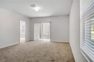 3503 Diamond Leaf Ct, Valrico, FL 33594 - Photo 5