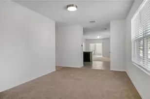 3503 Diamond Leaf Ct, Valrico, FL 33594 - Photo 5
