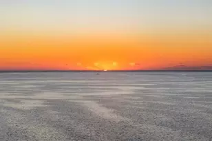 1726 Sunkissed Dr, Tarpon Springs, FL 34689 - Photo 75