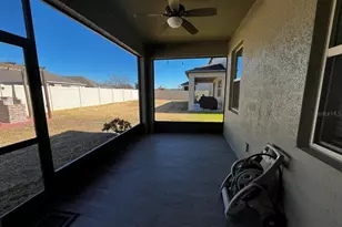 25195 Lambrusco Loop, Lutz, FL 33559 - Photo 31