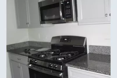 25195 Lambrusco Loop, Lutz, FL 33559 - Photo 9