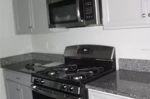 25195 Lambrusco Loop, Lutz, FL 33559 - Photo 9