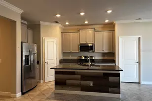 25195 Lambrusco Loop, Lutz, FL 33559 - Photo 7