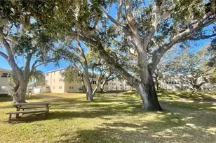 920 Virginia St, Dunedin, FL 34698 - Photo 13