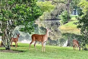16116 Lytham Dr, Odessa, FL 33556 - Photo 41