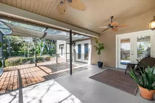 344 Cascade Ln, Palm Harbor, FL 34684 - Photo 51