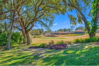 1611 Highland Club Lane, Palm Harbor, FL 34684 - Photo 3