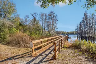 14217 Pondhawk Ln, Tampa, FL 33625 - Photo 37