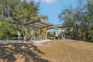 14217 Pondhawk Ln, Tampa, FL 33625 - Photo 37