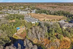 14217 Pondhawk Ln, Tampa, FL 33625 - Photo 43