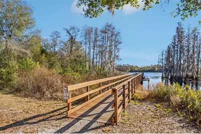 14217 Pondhawk Lane, Tampa, FL 33625 - Photo 41