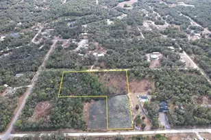 Berryhill Dr, Webster, FL 33597 - Photo 3