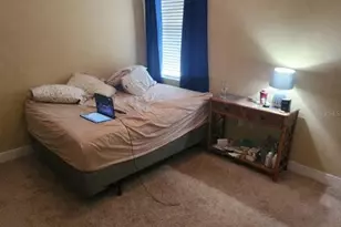 5810 Candytuft Pl, Land O Lakes, FL 34639 - Photo 43