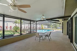 232 Pinecrest Dr, Palm Harbor, FL 34683 - Photo 31