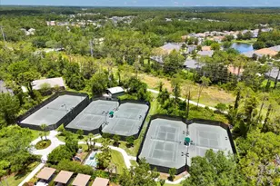 26451 Shoregrass Dr, Wesley Chapel, FL 33544 - Photo 77